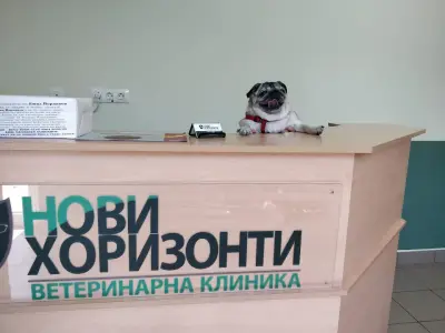 Ветеринарна клиника "Нови Хоризонти"