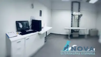 Ветеринарна клиника Нова