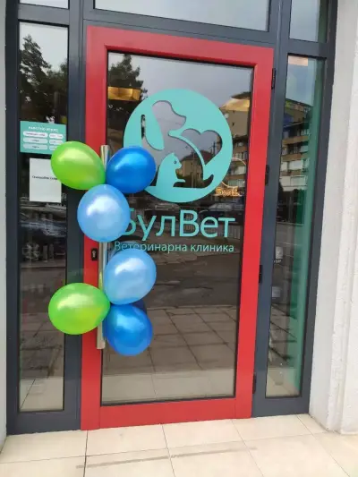 БулВет Клиник