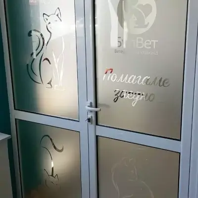 БулВет Клиник