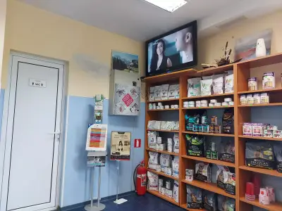 Ами Вет