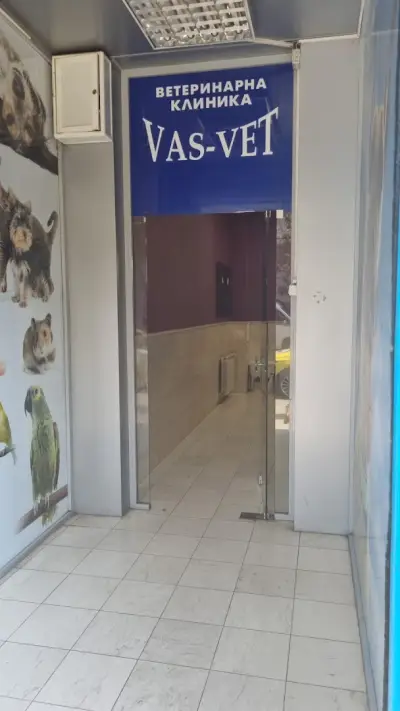 VAS-VET