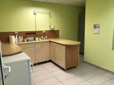 VAS-VET