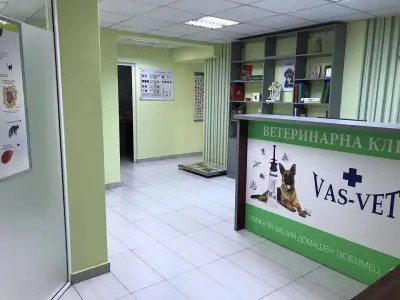 VAS-VET