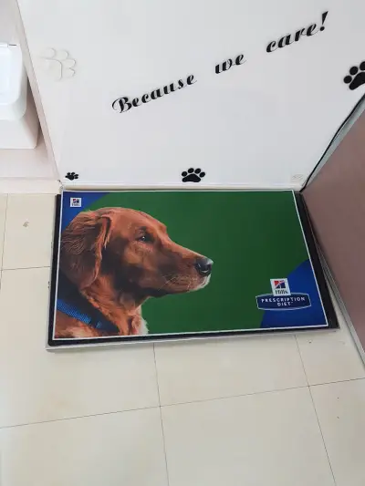 Ветеринарна клиника София