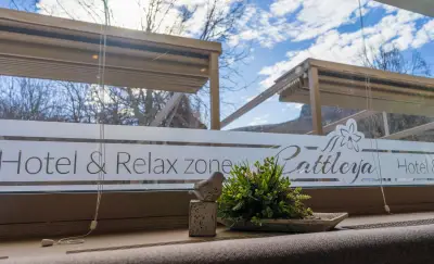 Hotel & Relax Zone Cattleya