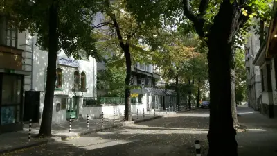 Профи Турс ООД
