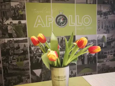 Apollo Travel & Tourism