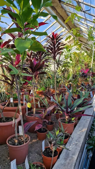 Botanicheska gradina na BAN