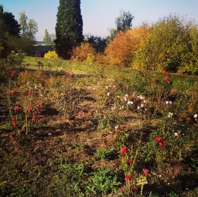 Botanicheska gradina na BAN