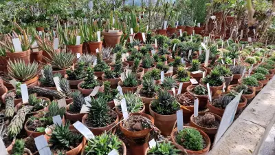 Botanicheska gradina na BAN