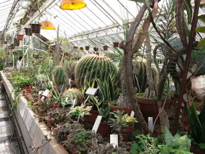 Botanicheska gradina na BAN