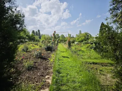 Botanicheska gradina na BAN