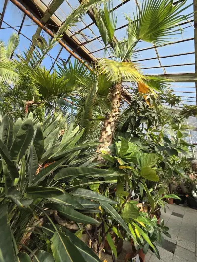 Botanicheska gradina na BAN