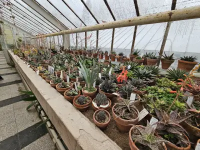 Botanicheska gradina na BAN