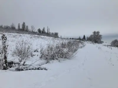 Botanicheska gradina na BAN
