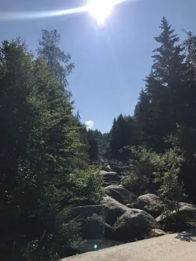 Каменни реки