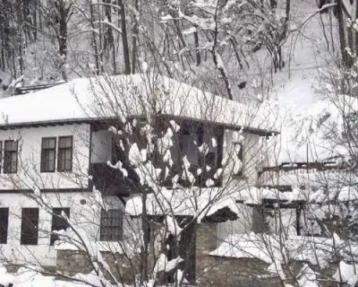 СЕМЕЕН ХОТЕЛ СКАНДАЛО 1896