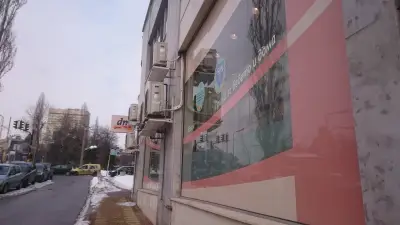 dm България