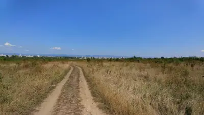 Домино Бетайлигунг-България ЕООД