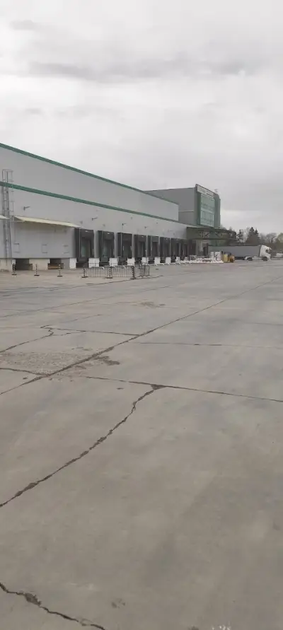 Ойрошпед АД, Еуроспед ООД, Еурохъб ООД, Ойрокуриер ООД, Ойролог ЕООД, Ойропорт ООД