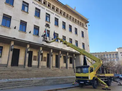 Диди 2008 | Продажба и наем на автовишки София | Строителни ремонти | Рязане на дървета | Миене на фасади | Саниране