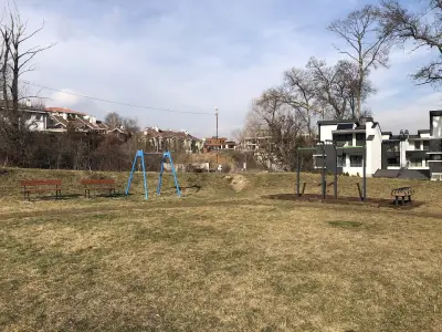 Стадион Кривуля