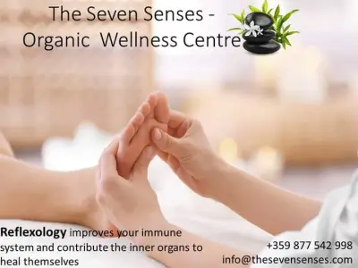 The Seven Senses - Organic Wellness centre