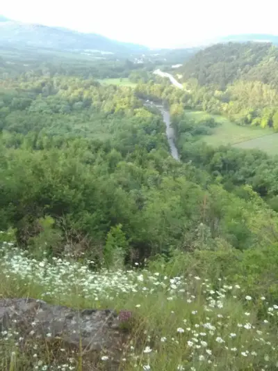 Саралиевата къща