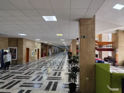 Университет за национално и световно стопанство