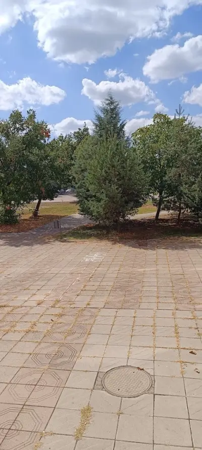 Национална гимназия за древни езици и култури