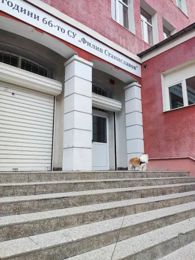66 СУ „Филип Станиславов“