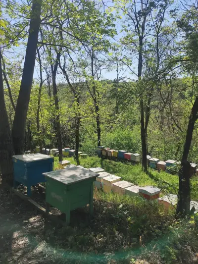 Медена къща Зарапово