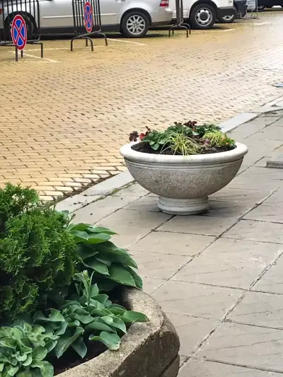 Зелена Концепция