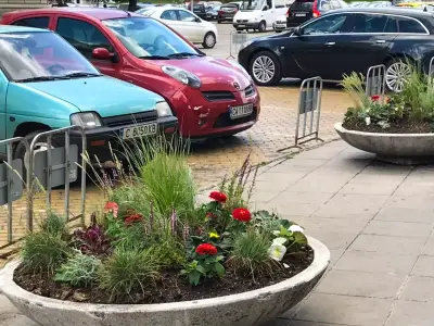 Зелена Концепция