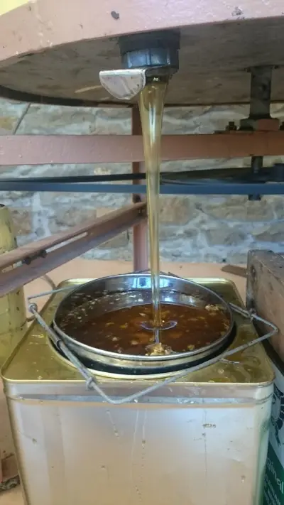Кметство Вишовград