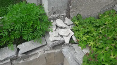 Агенция дипломатически имоти в страната (АДИС ЕООД)