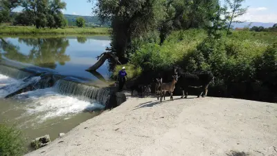 PlochkiBg