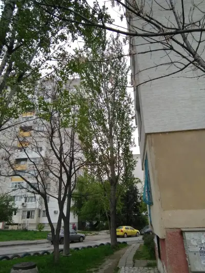 Полицейски инспектор при 7 РПУ София