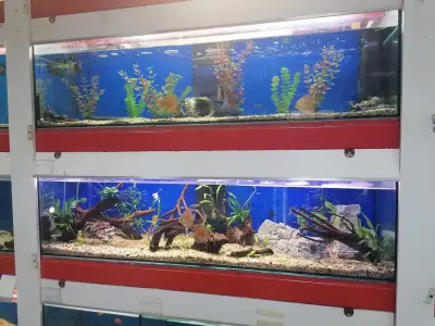 Зоомагазин ZOO CENTER HIT Люлин