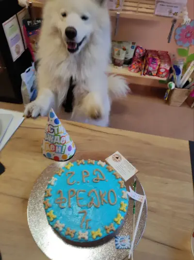 Пекарната на Арис и Кики