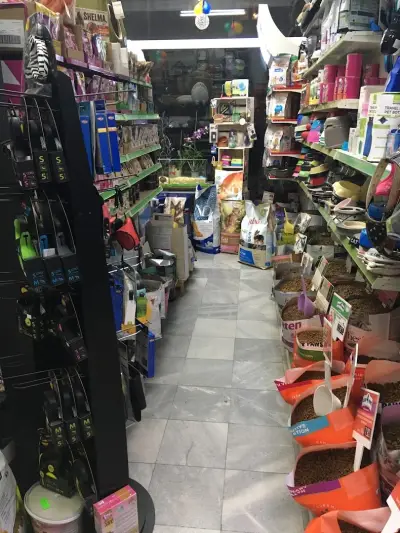 Бюти дог
