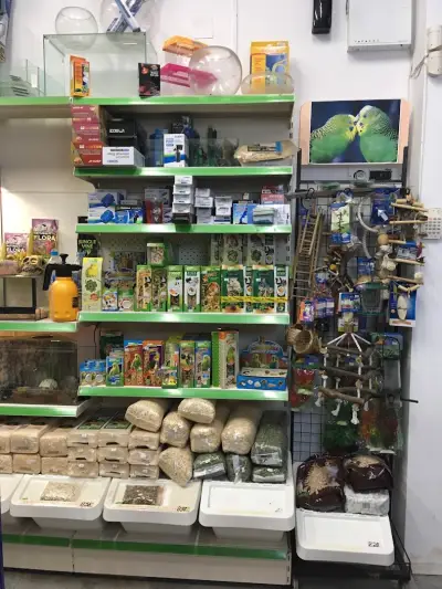 Бюти дог
