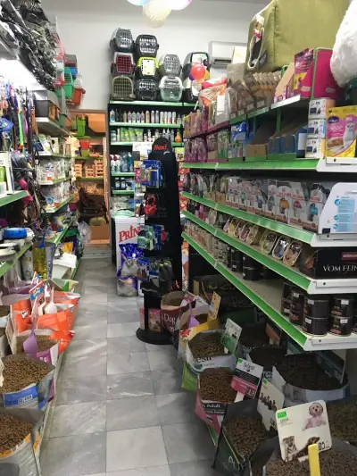 Бюти дог