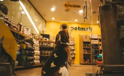 Petmall.bg Mladost pet store