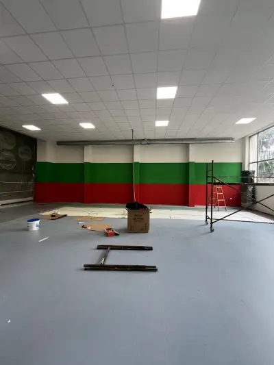 Артеколор