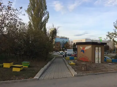 Музей на пчелата