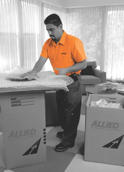 Allied - The Careful Movers