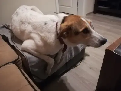 Moving.BG