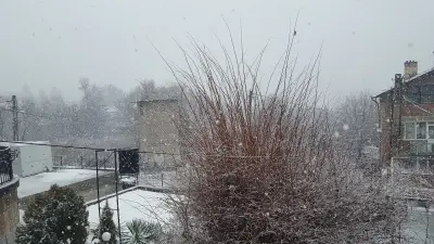 Филм Фиксърс България